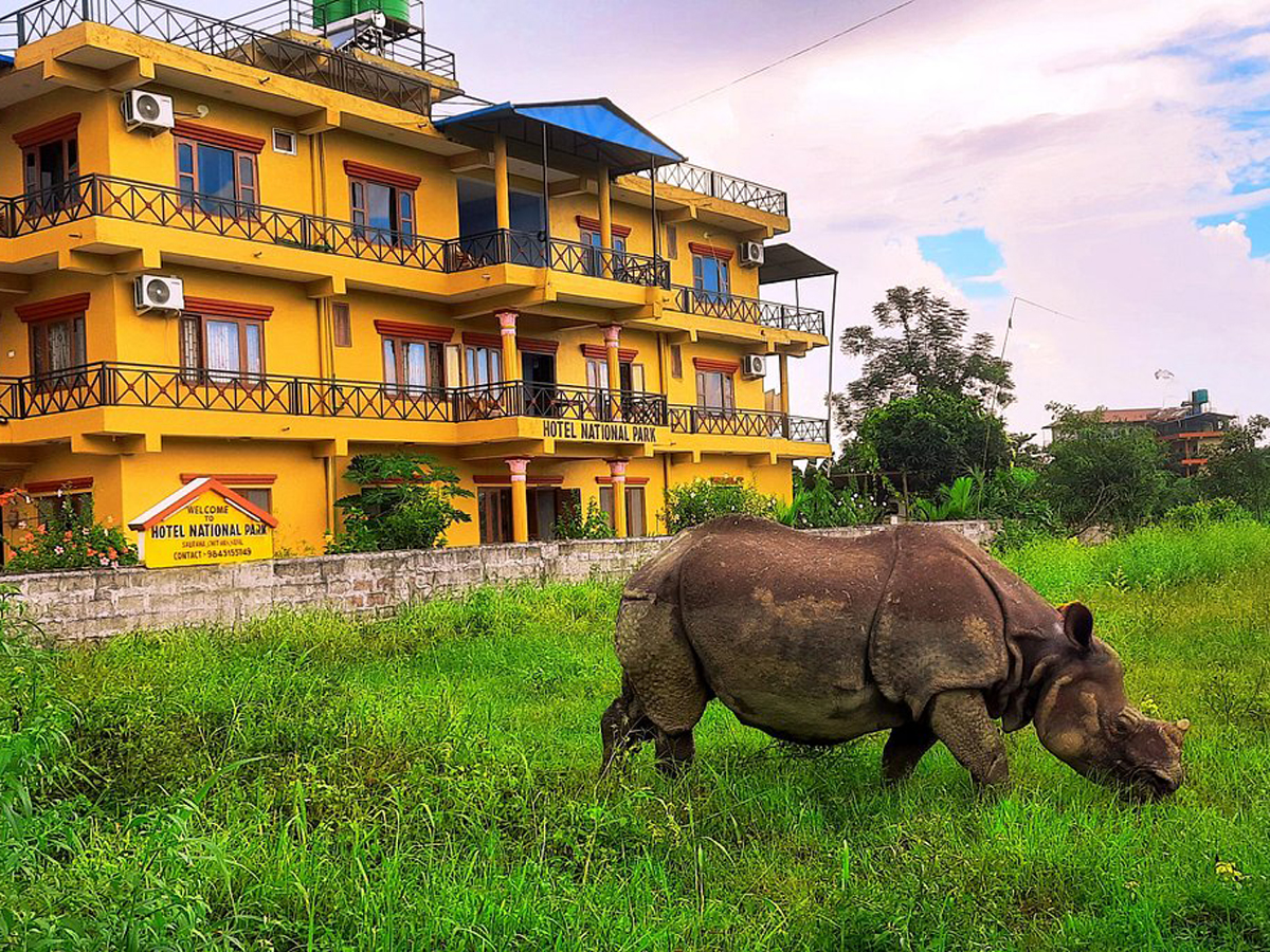 Hotel Aikawa, Sauraha
