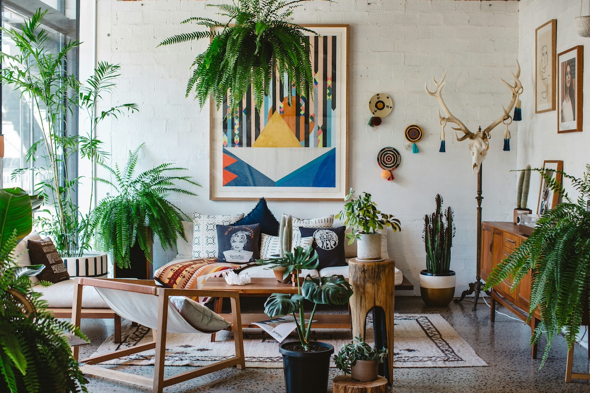 Indoor Planting delivery