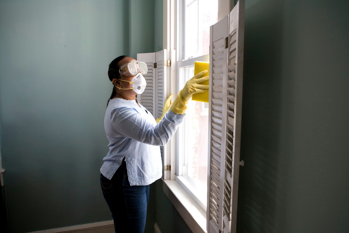 Pest Control assessment